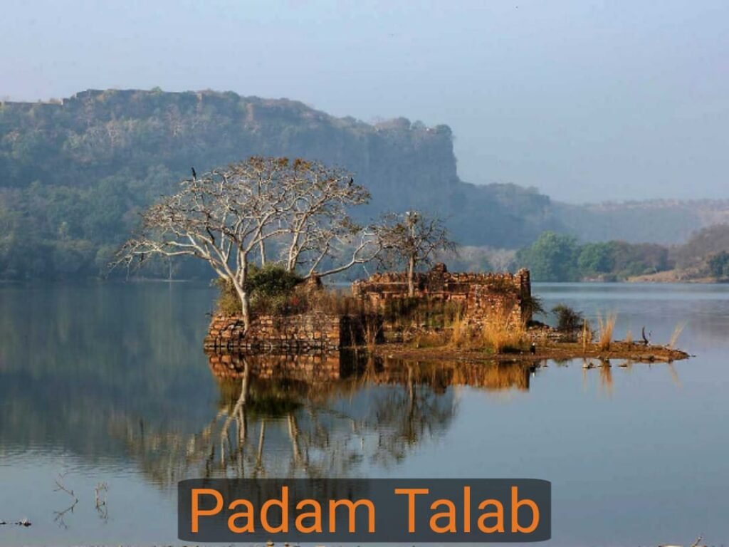 WhatsApp Image 2025-11-09 at 11.02.56 AM