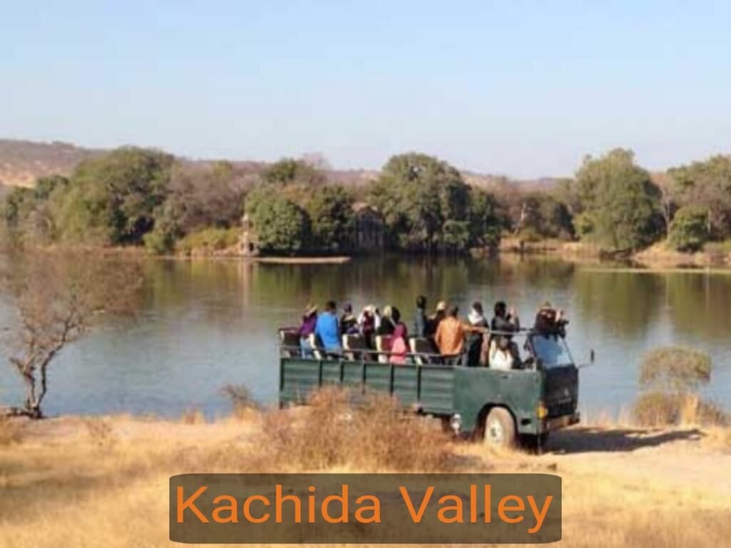 WhatsApp Image 2025-11-09 at 11.02.56 AM (2)