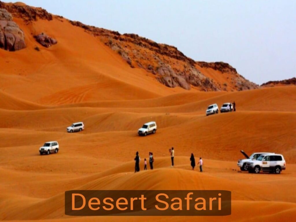 desert safari